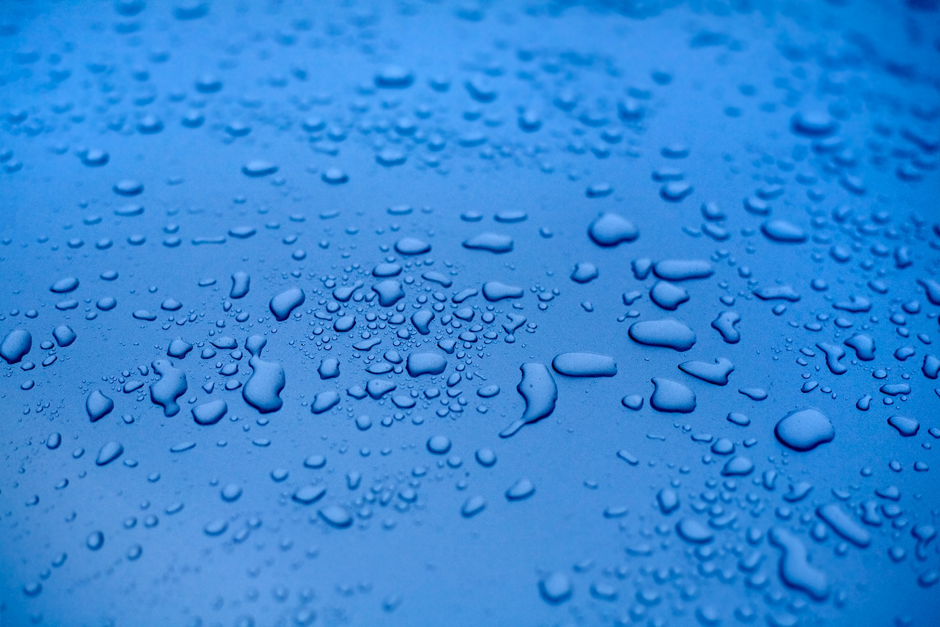 Water droplets on a bright blue background